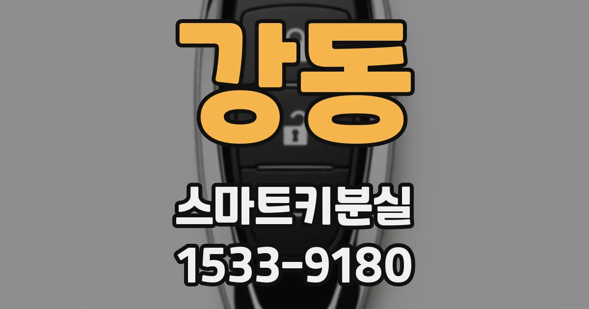강동 스마트키분실