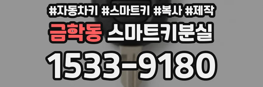 금학동 스마트키분실
