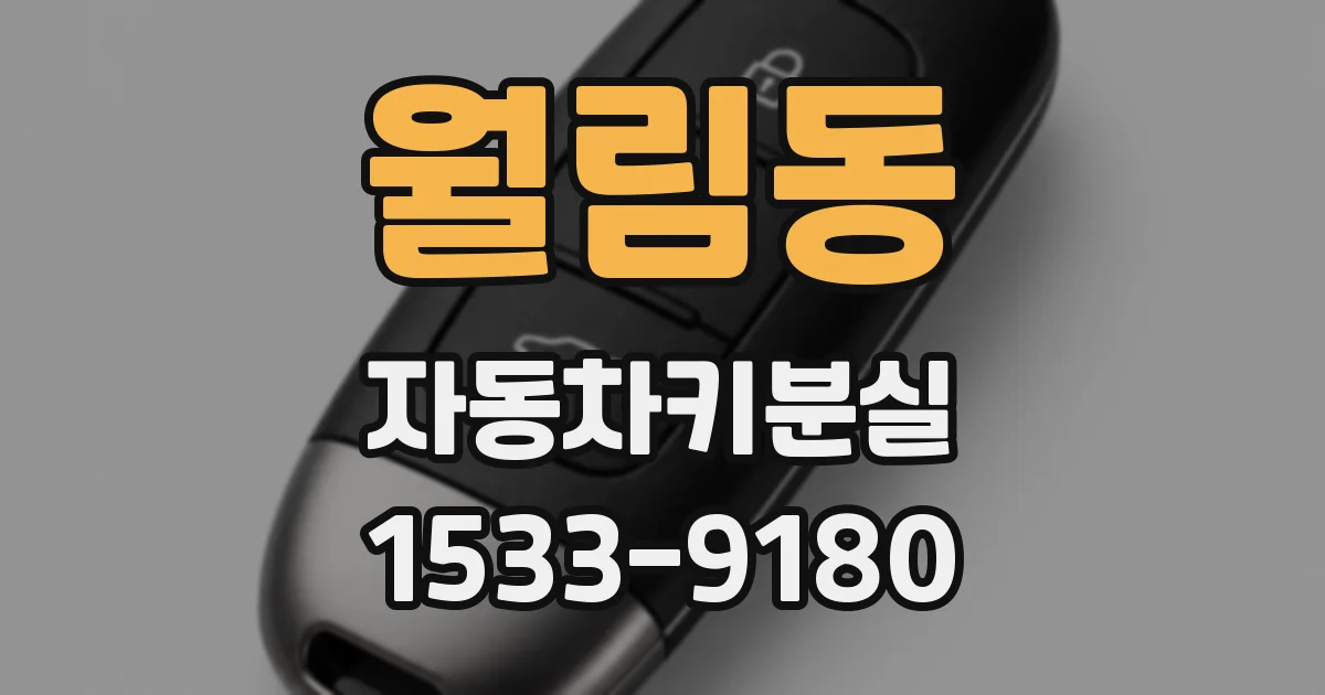 월림동 자동차키분실