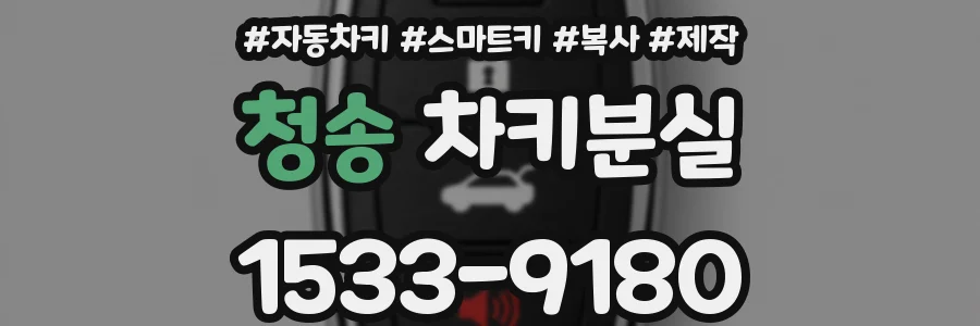청송 차키분실