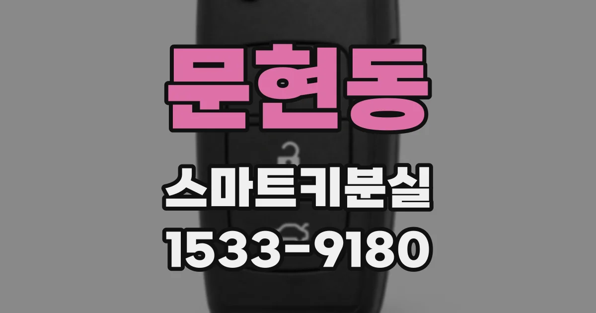 문현동 스마트키분실