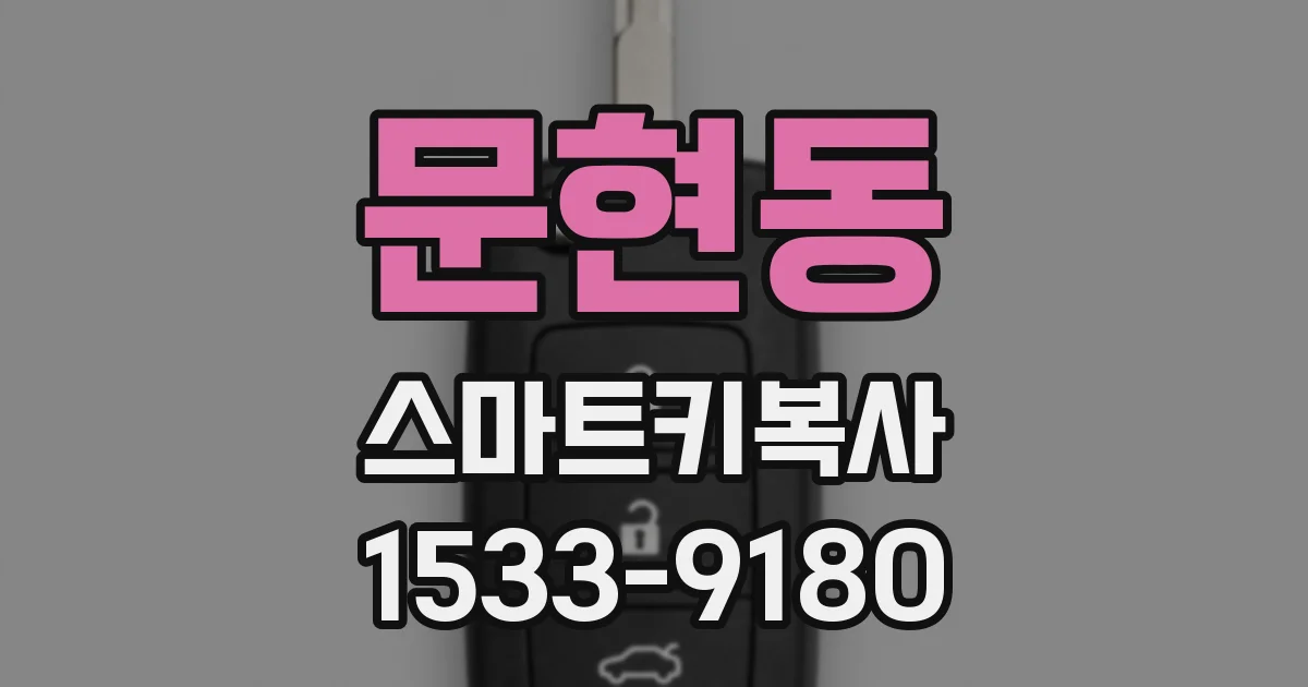 문현동 스마트키복사