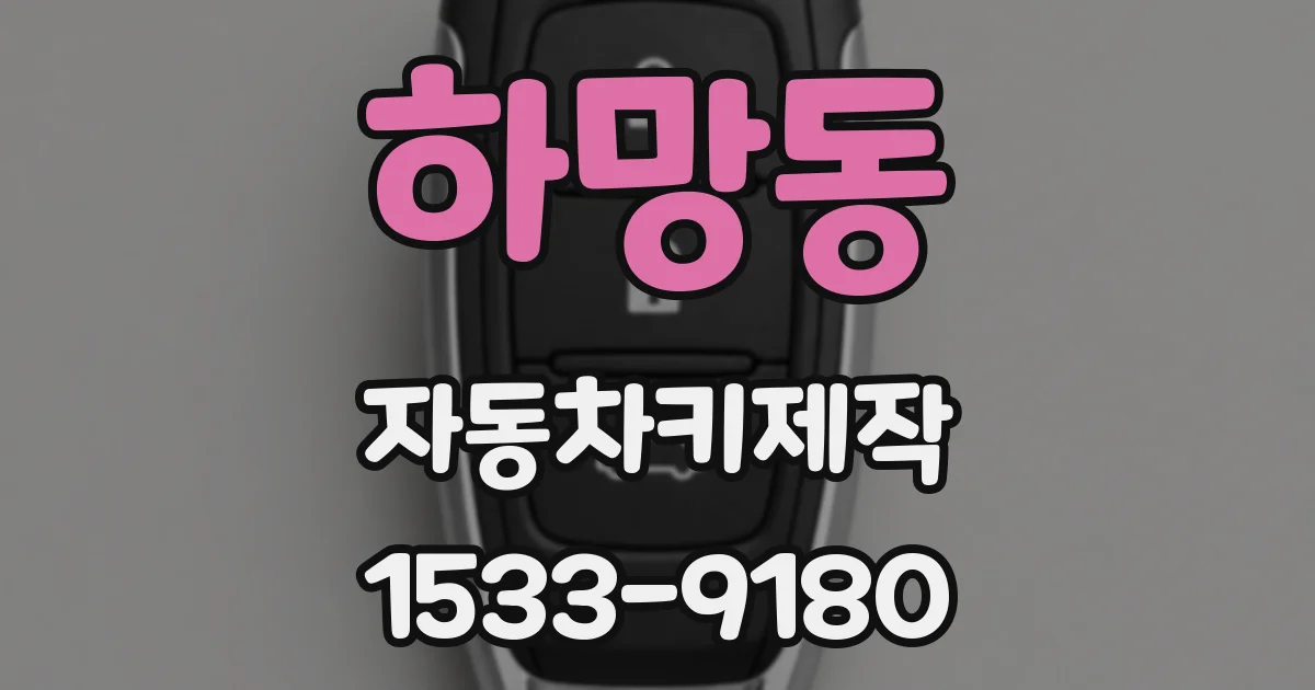 하망동 자동차키제작