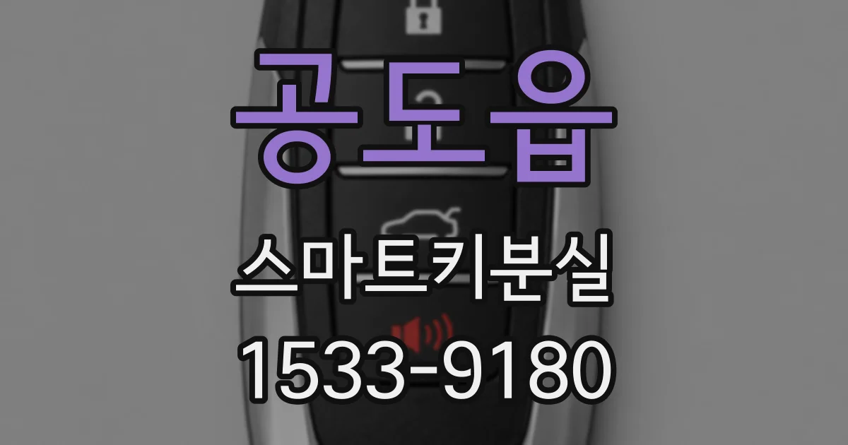 공도읍 스마트키분실
