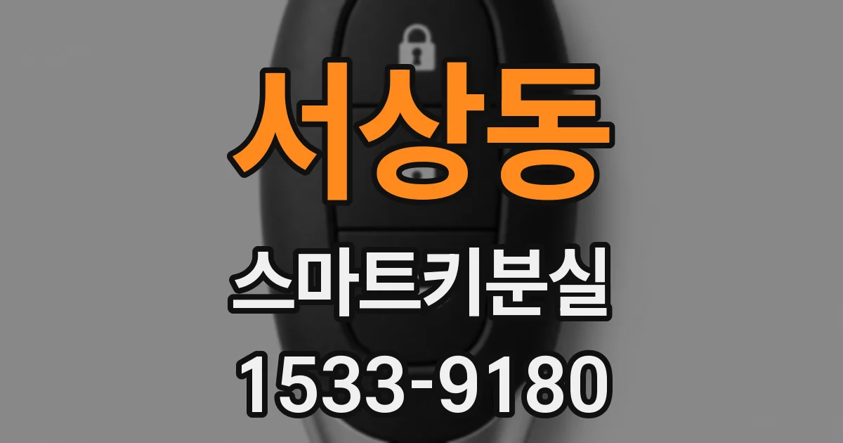 서상동 스마트키분실