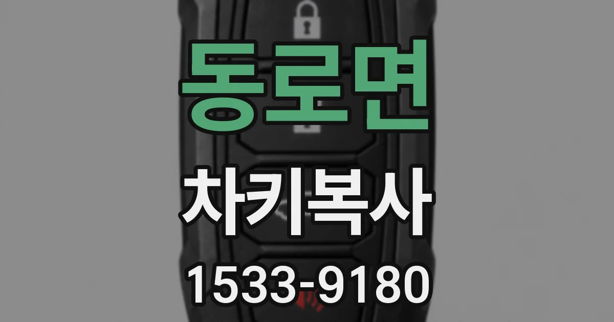 동로면 차키복사