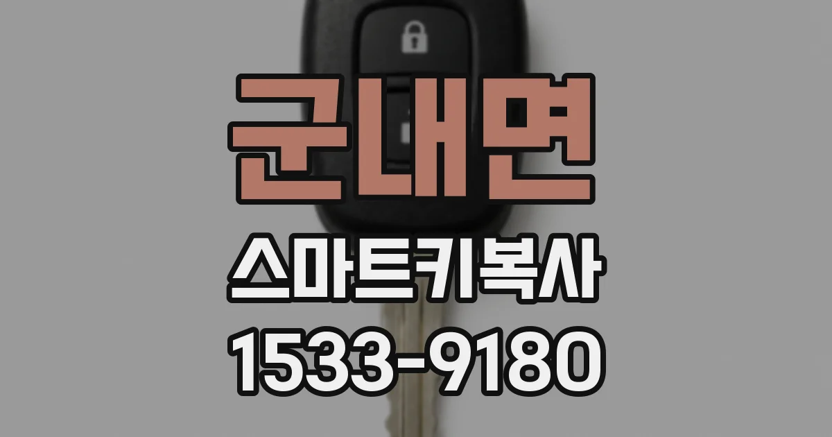 군내면 스마트키복사