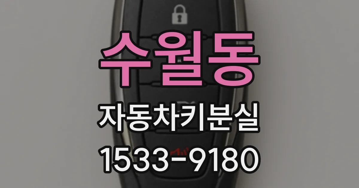 수월동 자동차키분실
