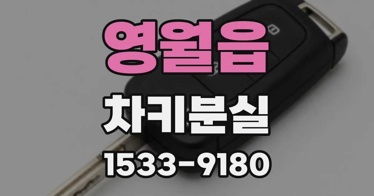 영월읍 차키분실