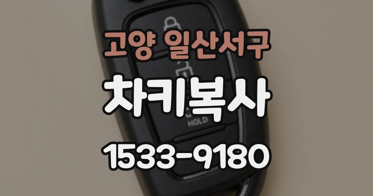 고양 일산서구 차키복사