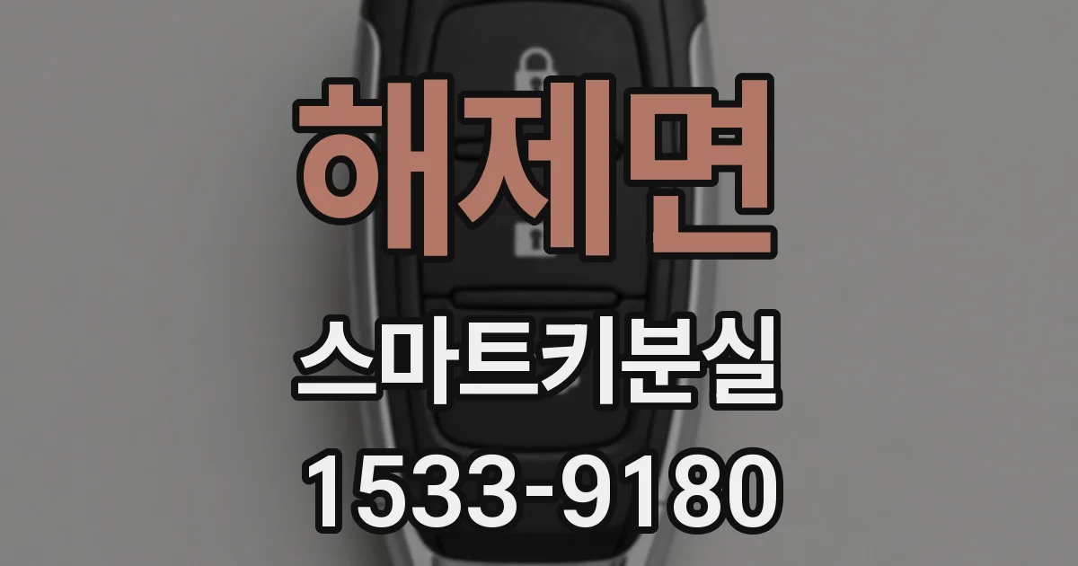 해제면 스마트키분실