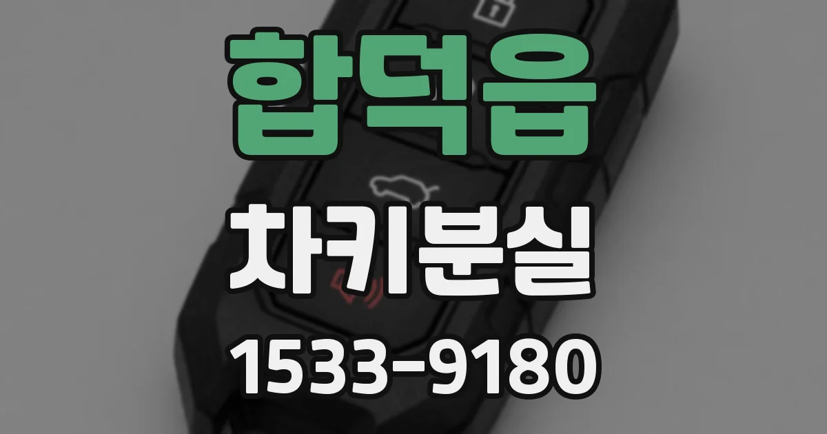 합덕읍 차키분실