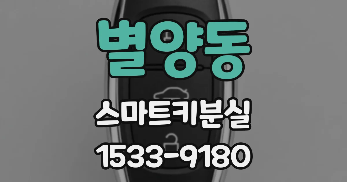 별양동 스마트키분실