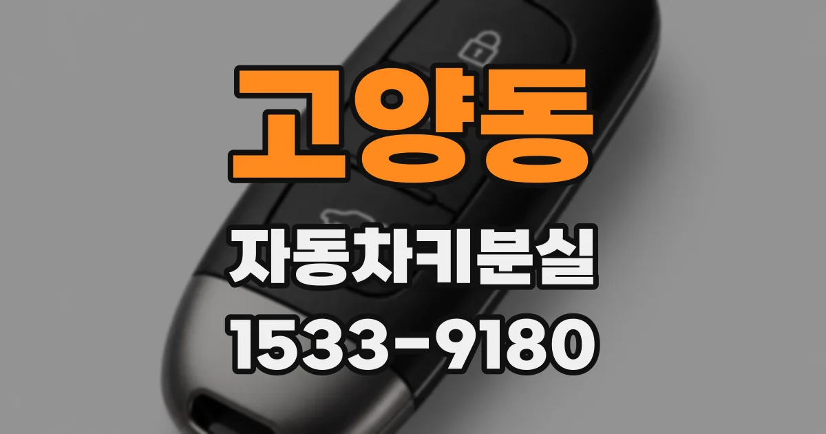고양동 자동차키분실