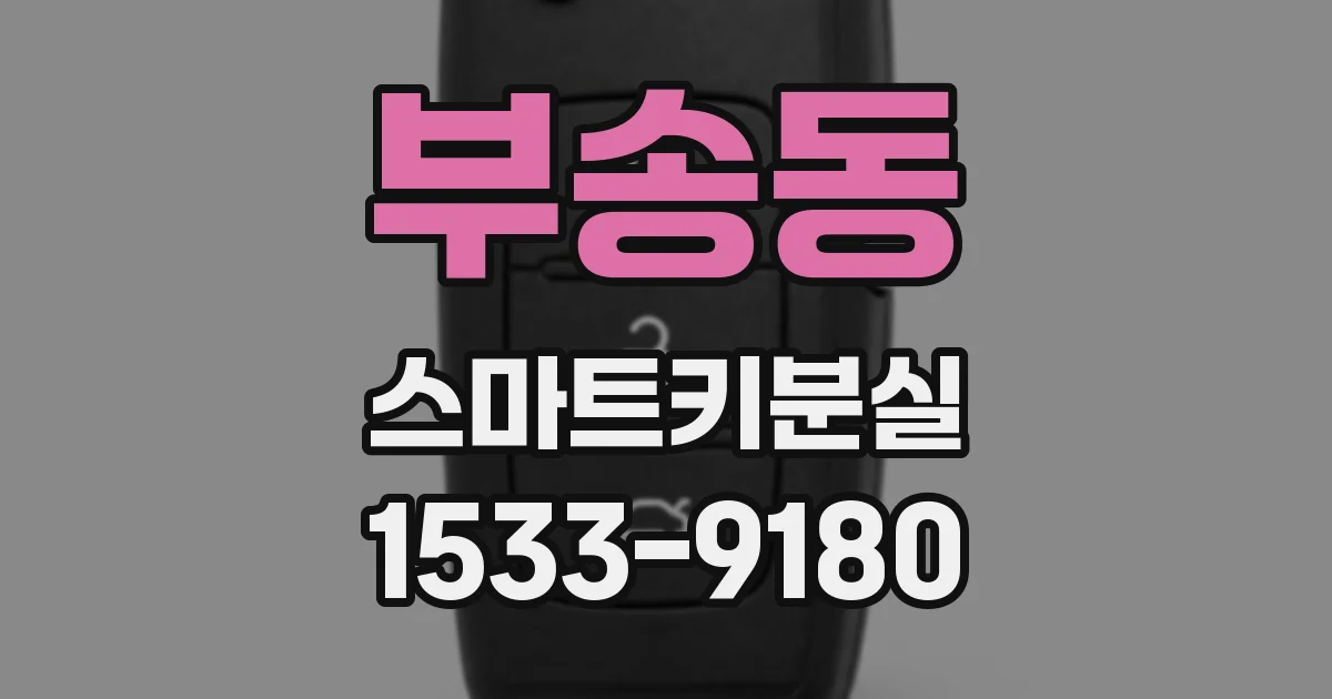 부송동 스마트키분실