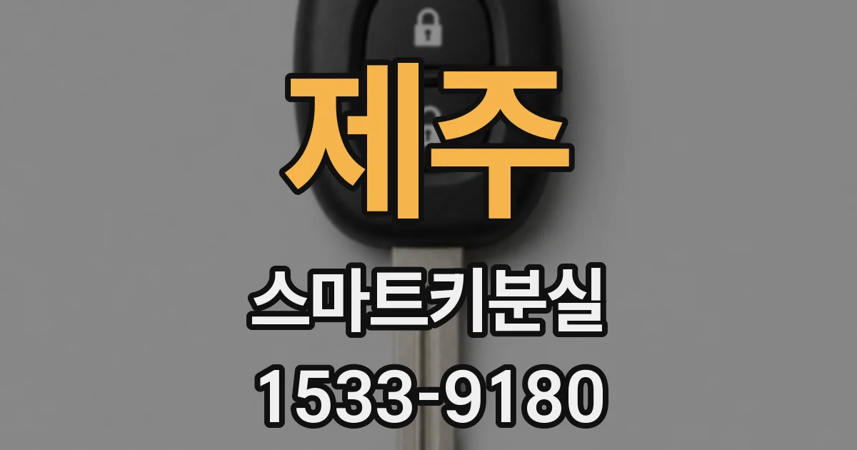 제주 스마트키분실