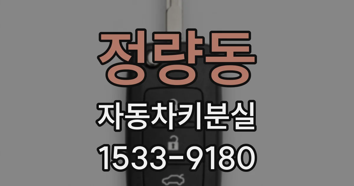 정량동 자동차키분실