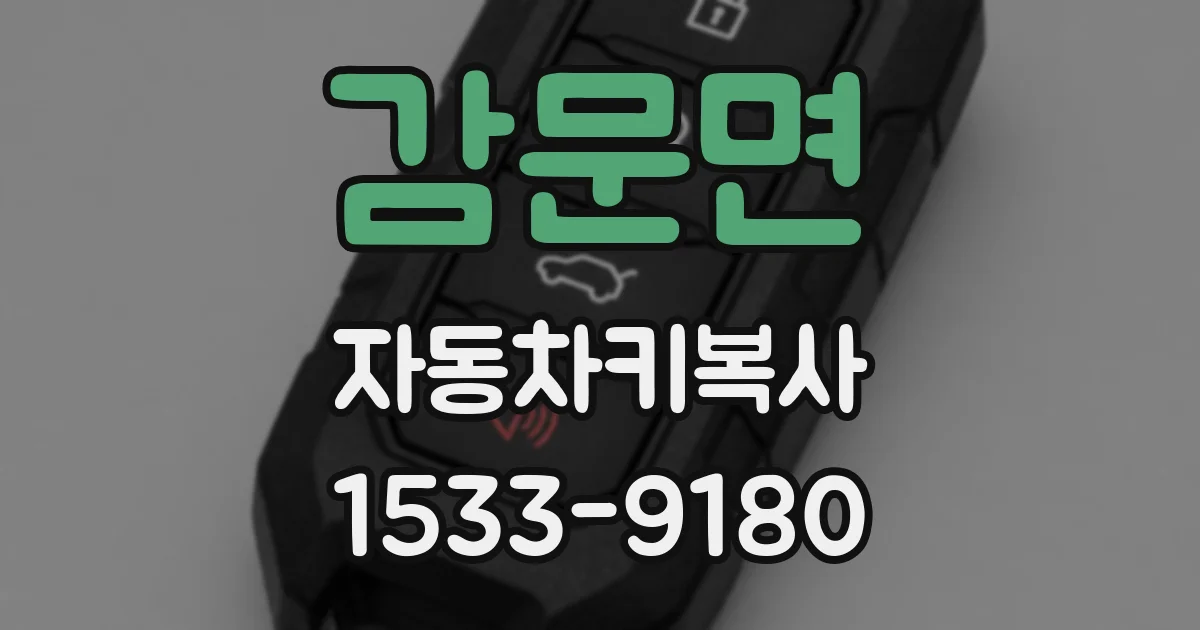 감문면 자동차키복사
