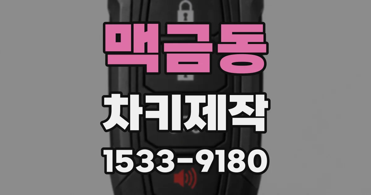 맥금동 차키제작
