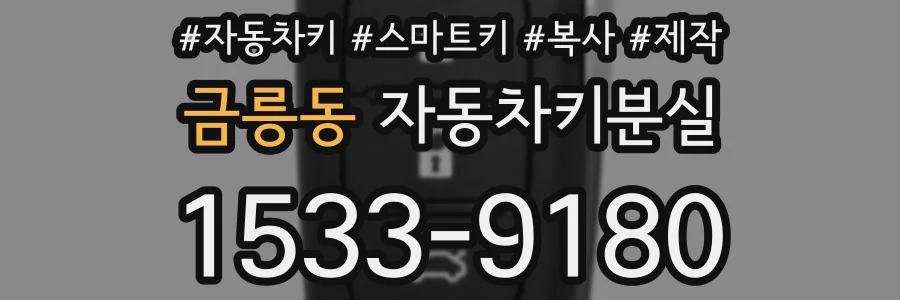 금릉동 자동차키분실