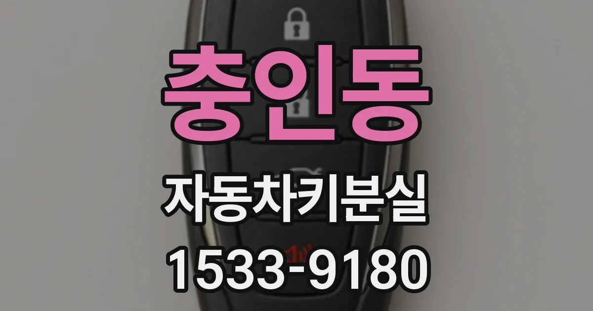 충인동 자동차키분실