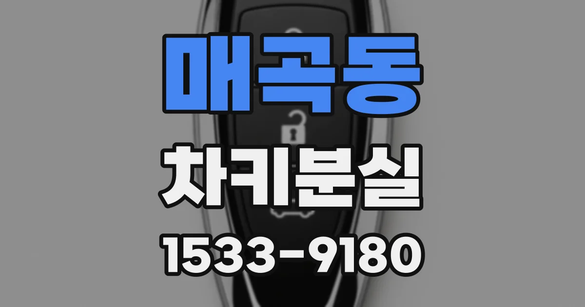 매곡동 차키분실
