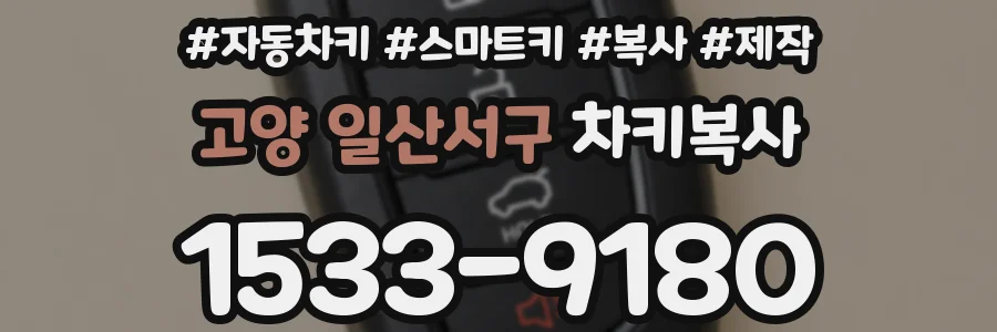 고양 일산서구 차키복사