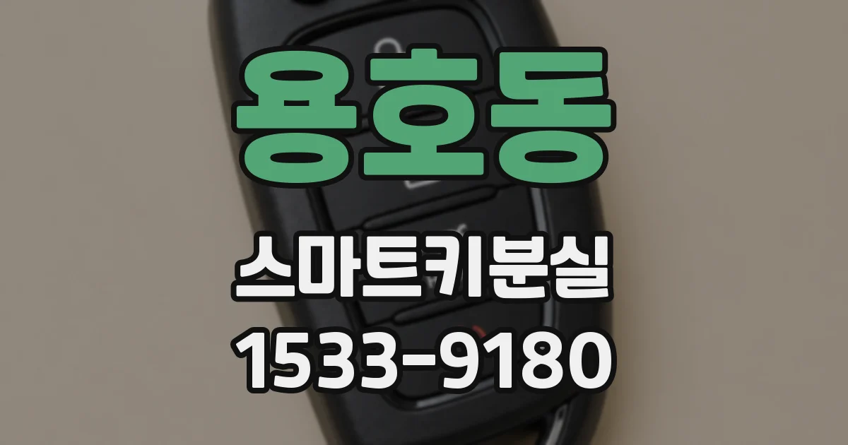 용호동 스마트키분실