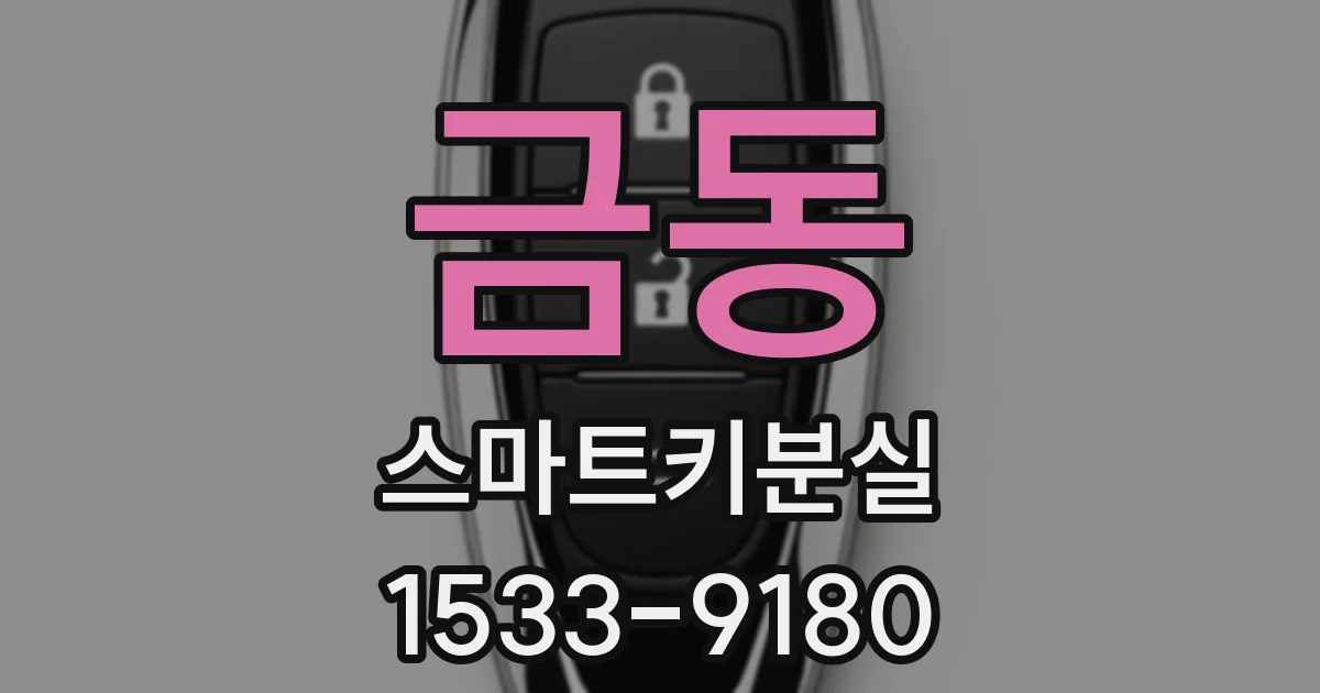 금동 스마트키분실