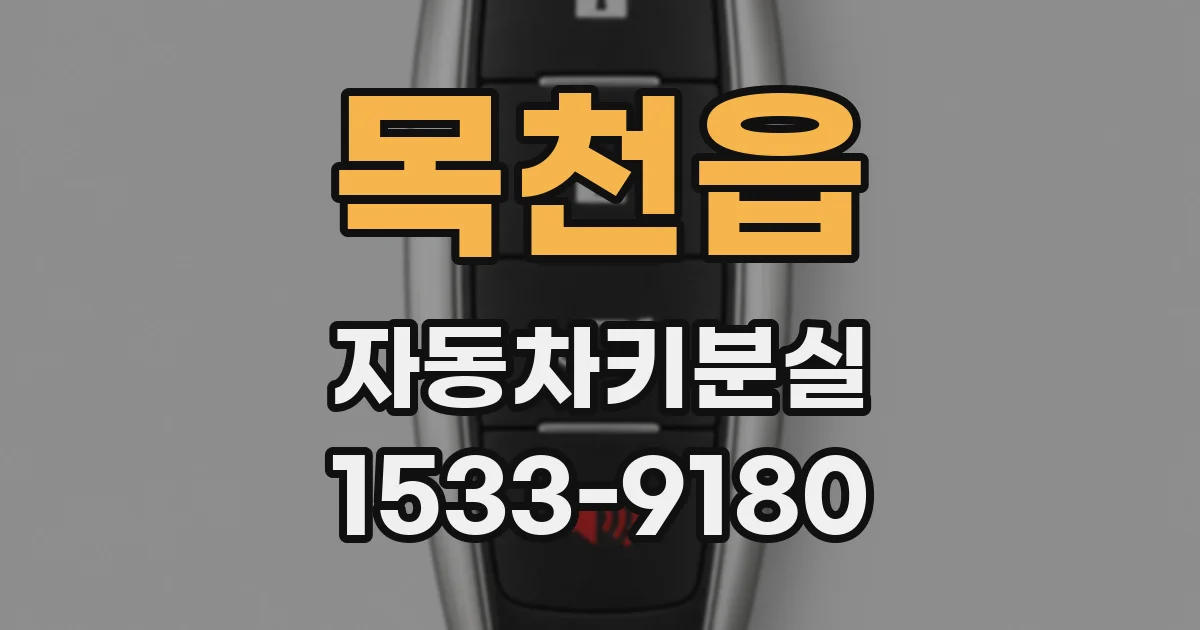 목천읍 자동차키분실