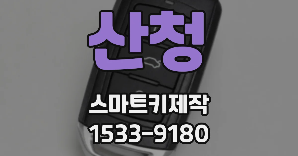 산청 스마트키제작