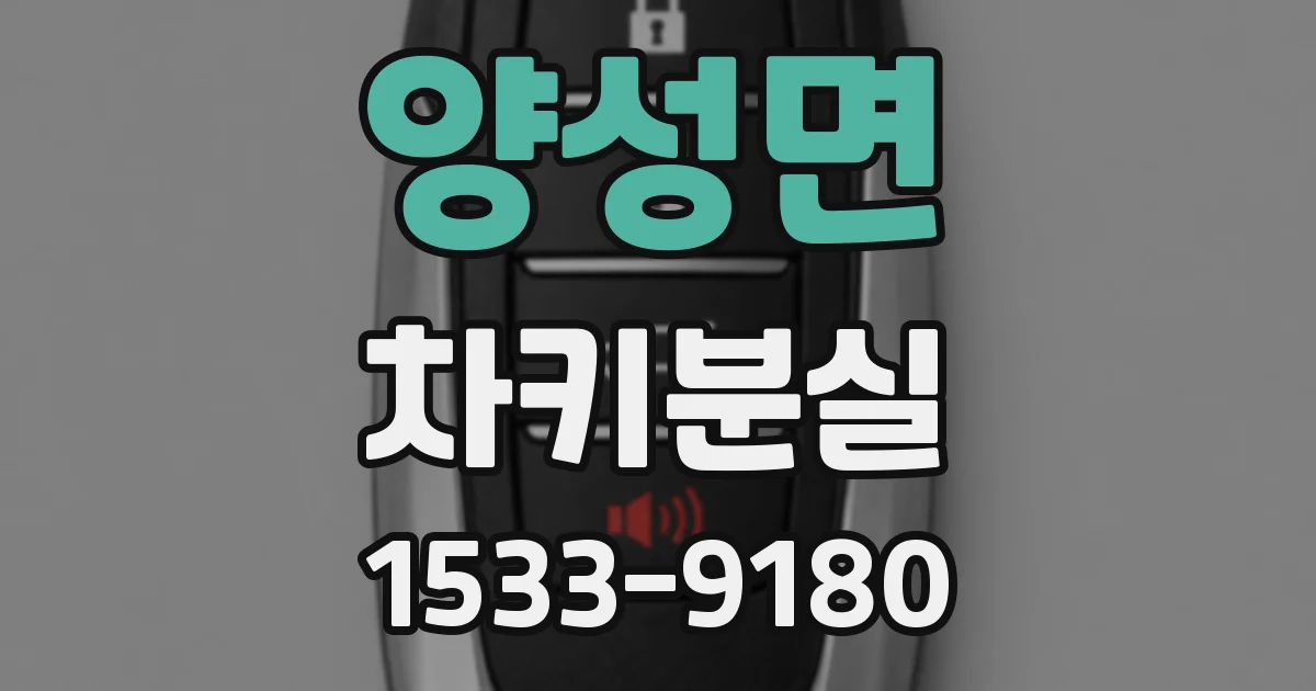 양성면 차키분실