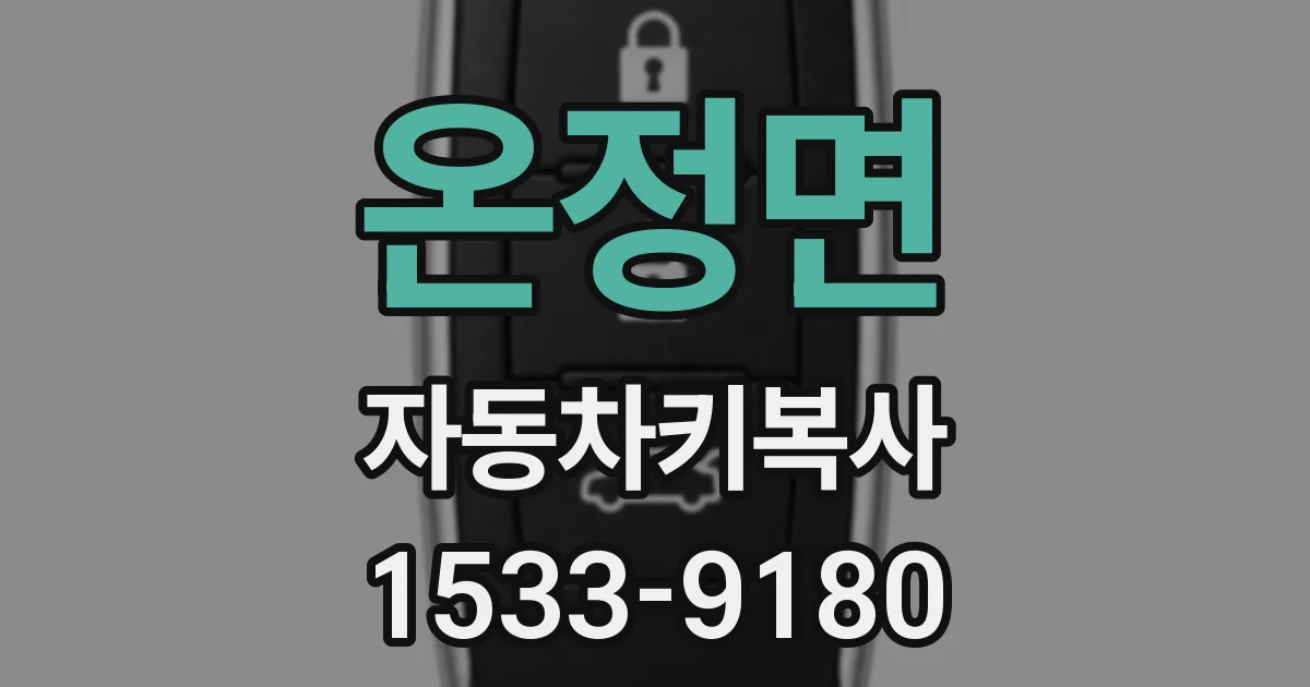온정면 자동차키복사