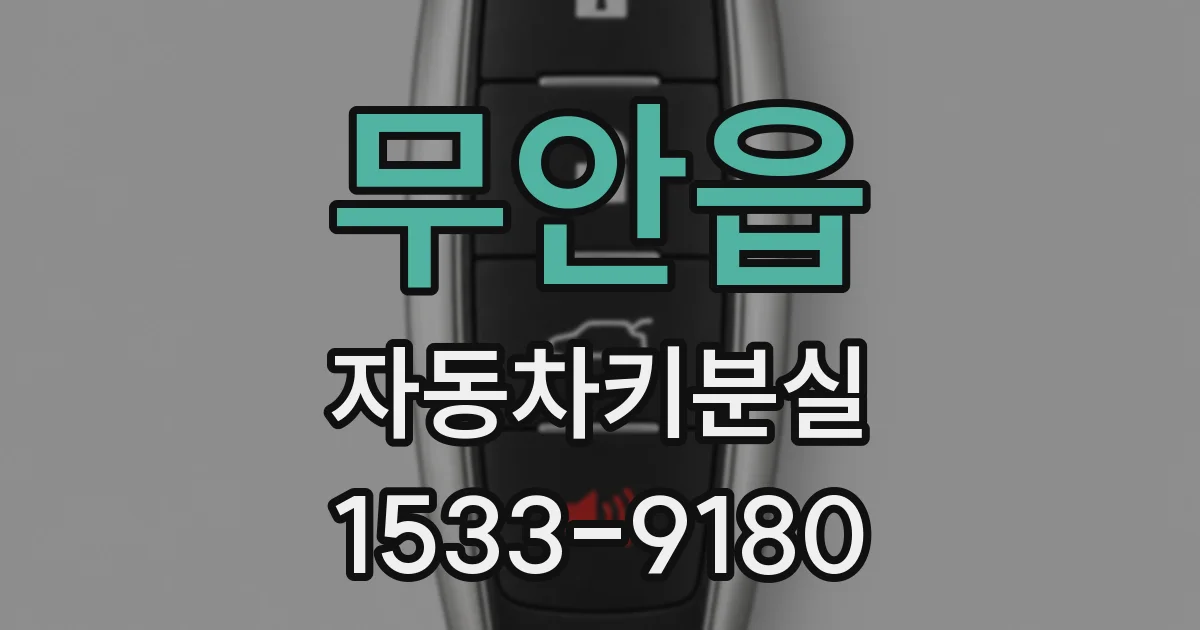 무안읍 자동차키분실