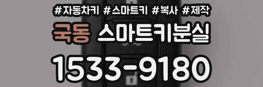 국동 스마트키분실