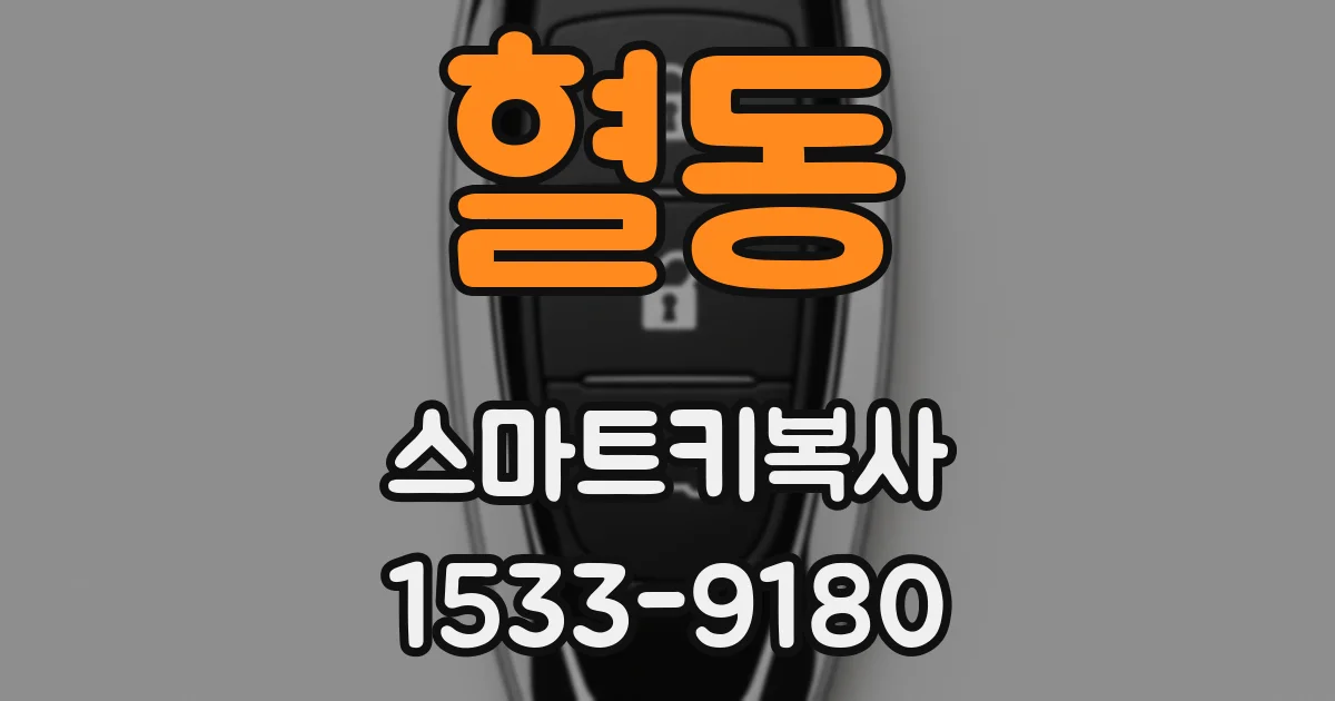 혈동 스마트키복사