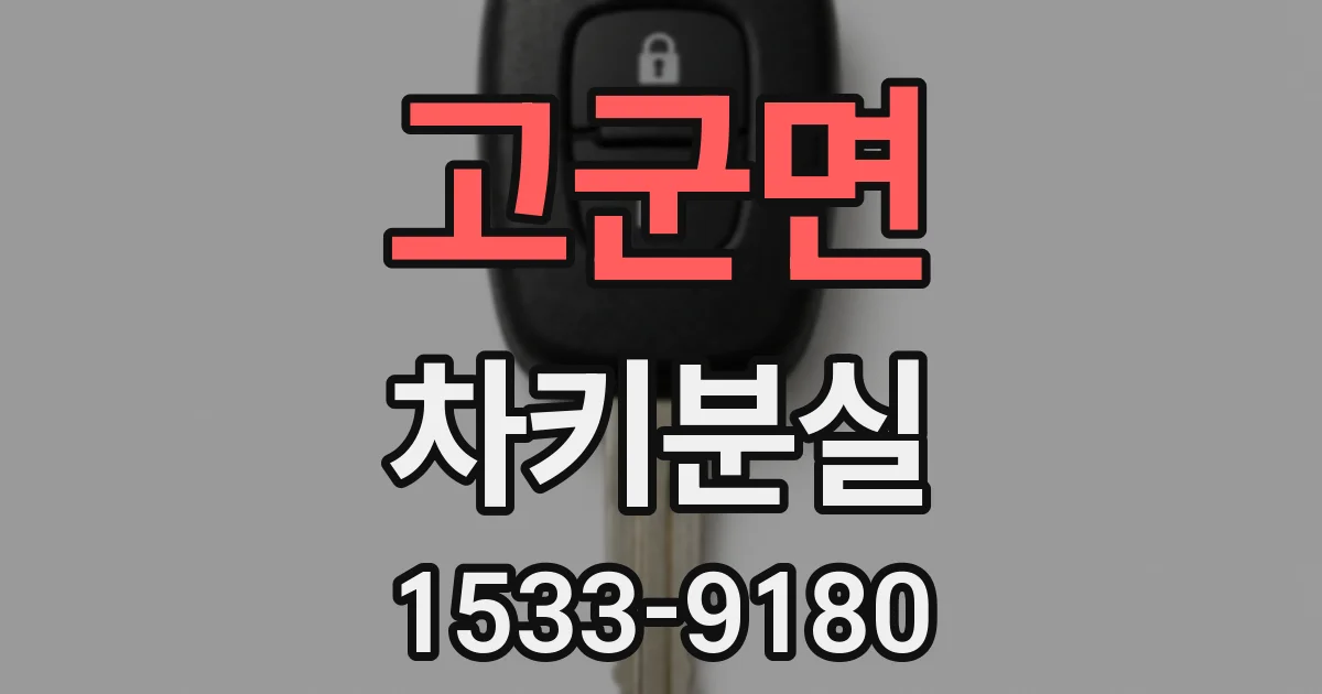 고군면 차키분실