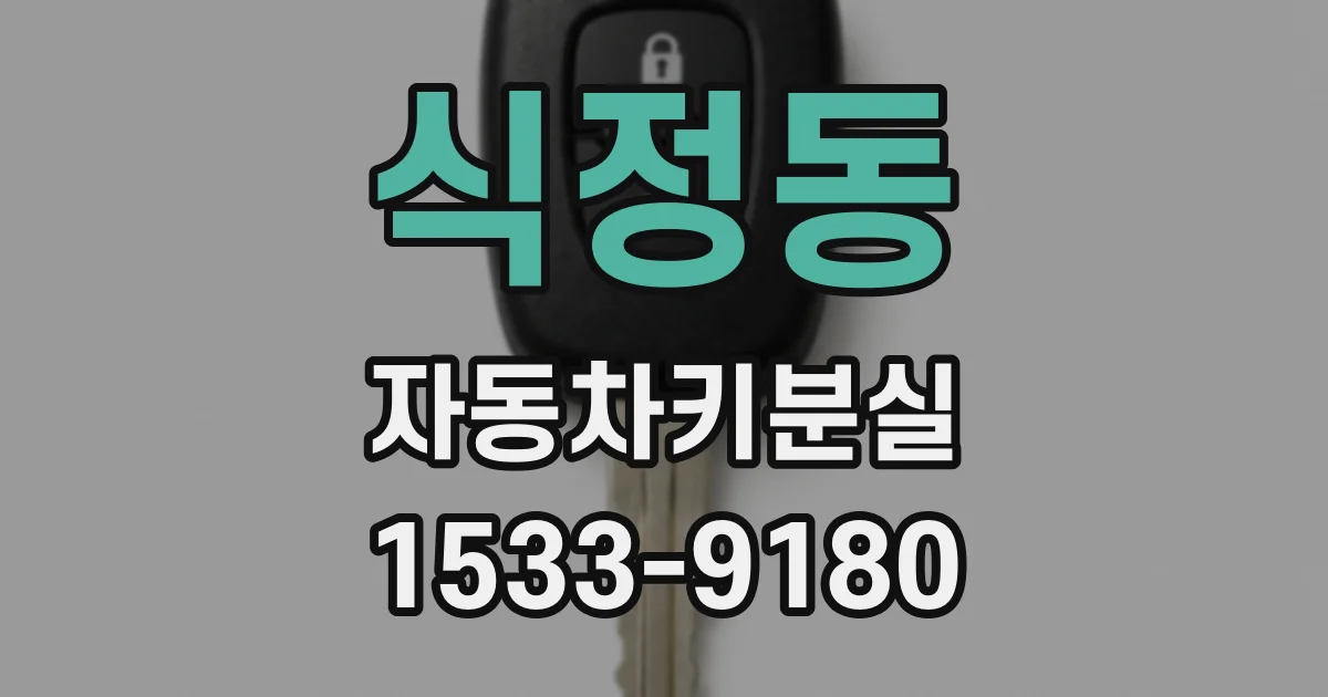식정동 자동차키분실