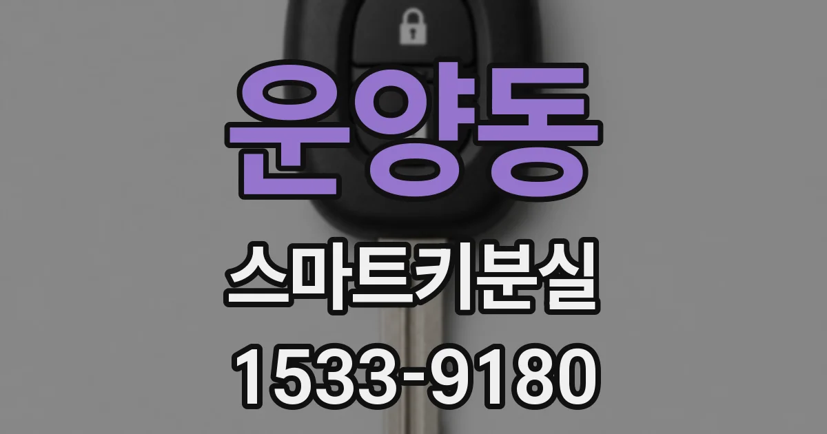 운양동 스마트키분실