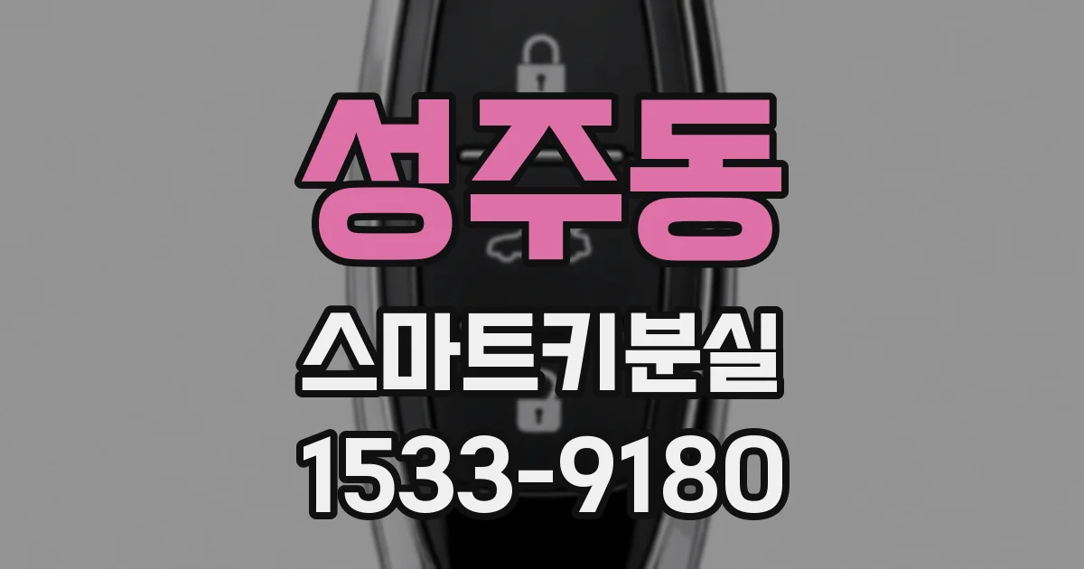 성주동 스마트키분실