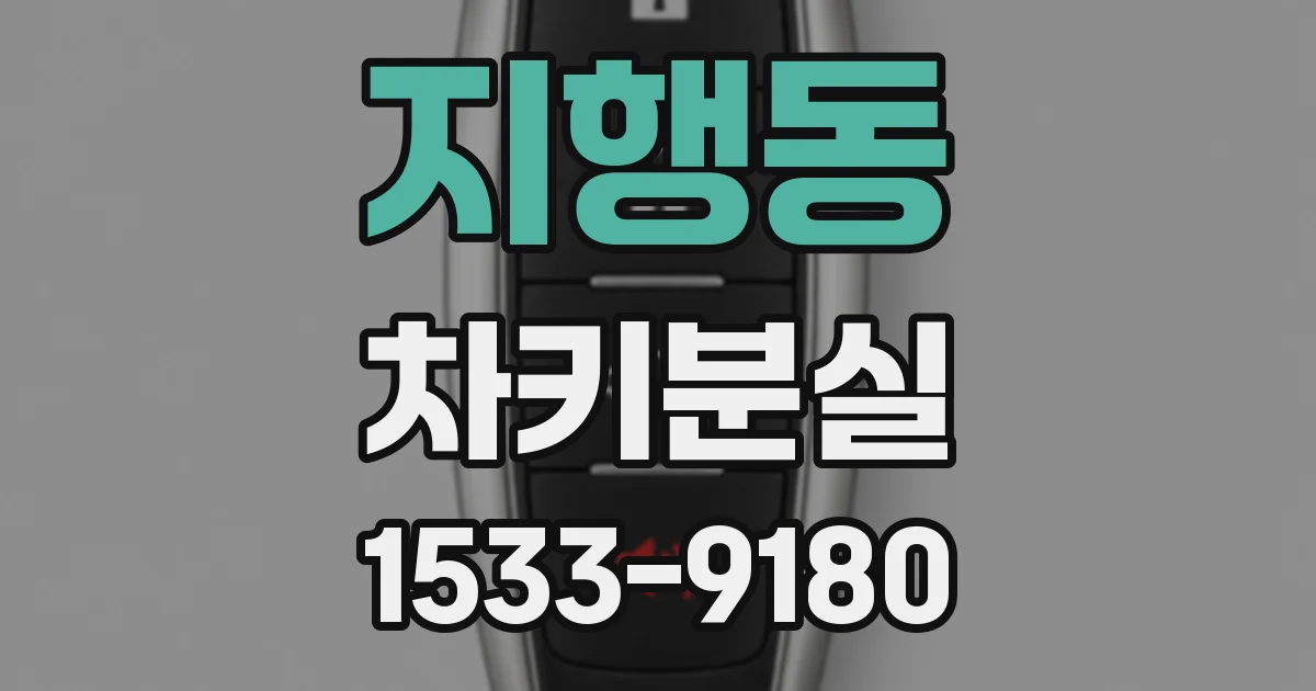 지행동 차키분실