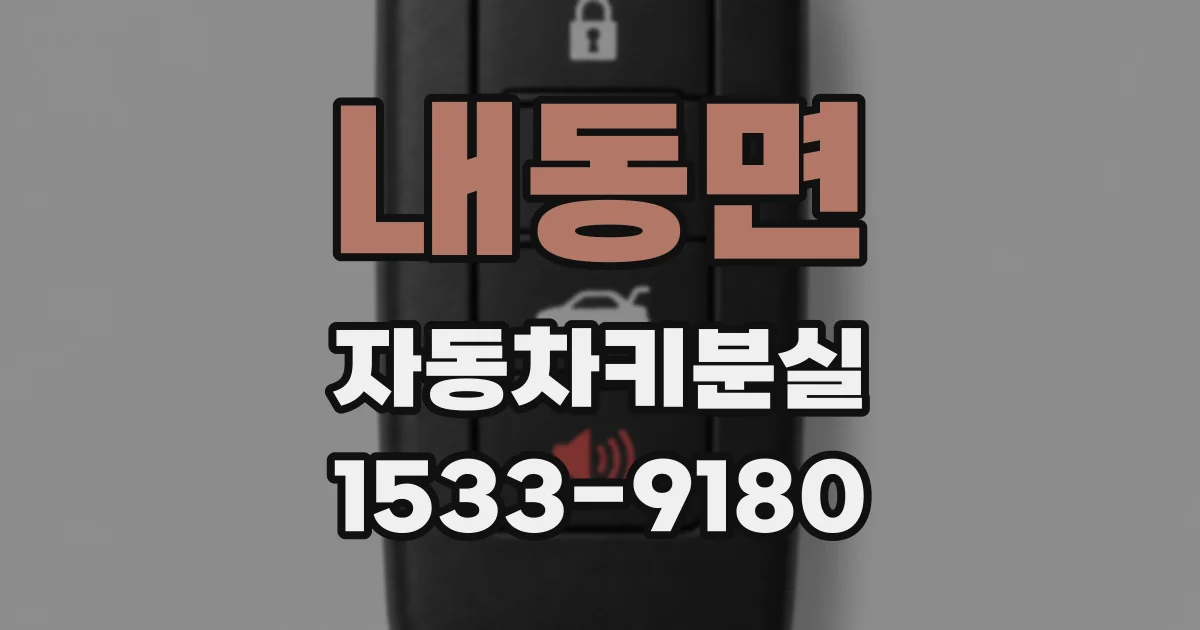 내동면 자동차키분실