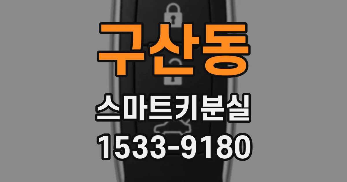 구산동 스마트키분실