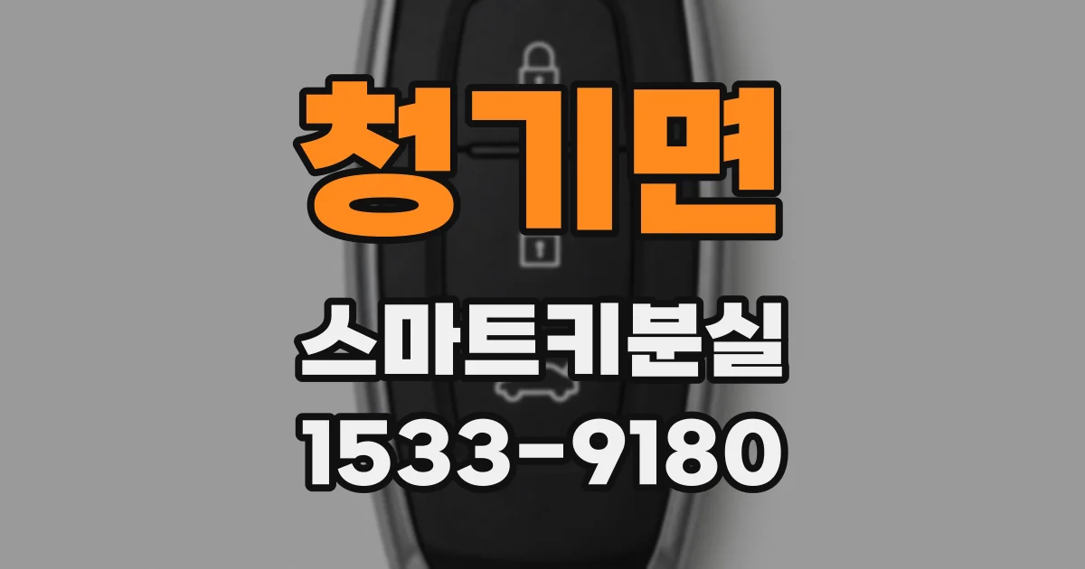 청기면 스마트키분실