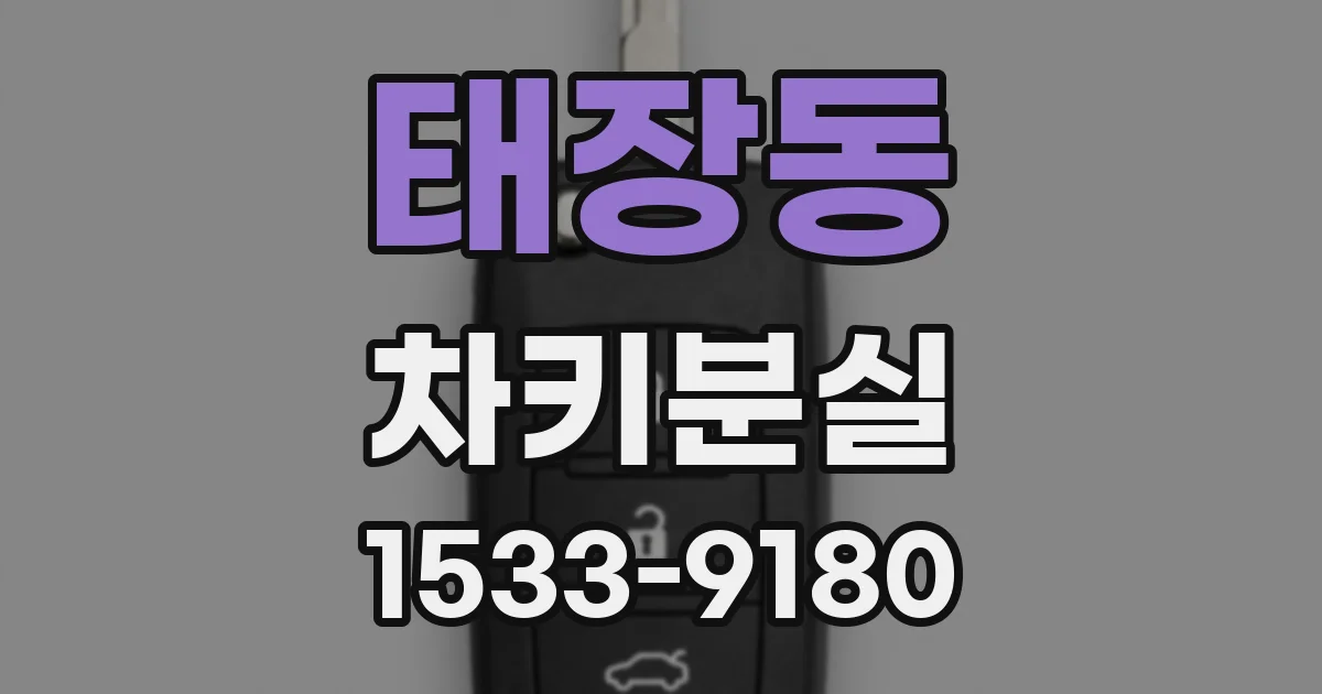 태장동 차키분실