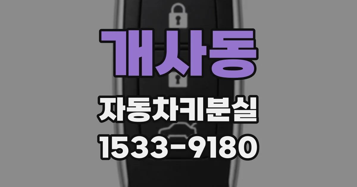 개사동 자동차키분실