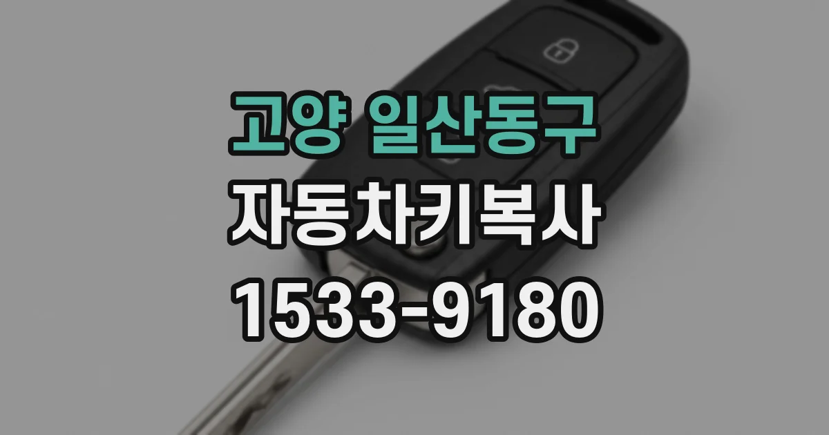 고양 일산동구 자동차키복사