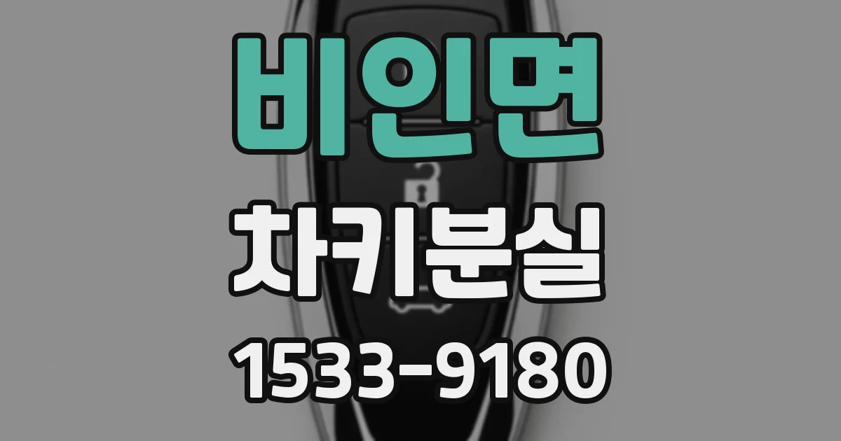 비인면 차키분실
