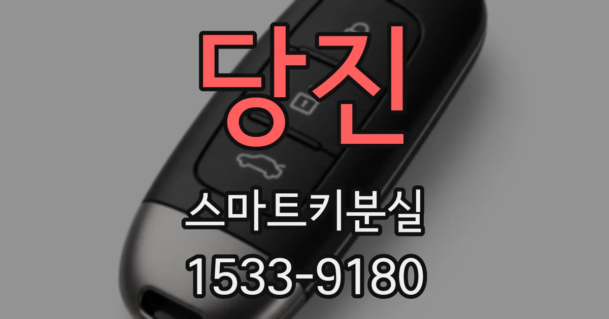 당진 스마트키분실