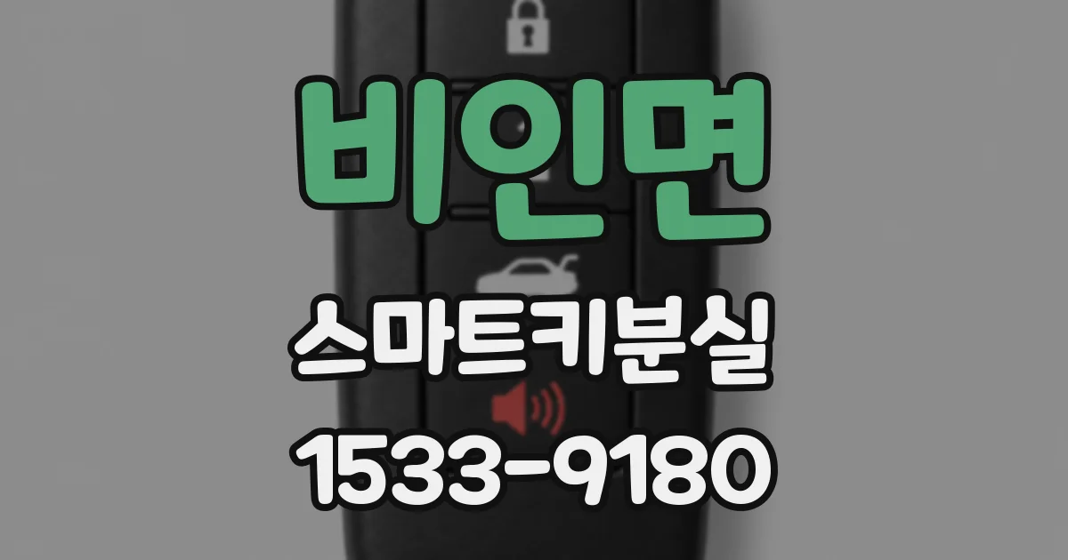 비인면 스마트키분실